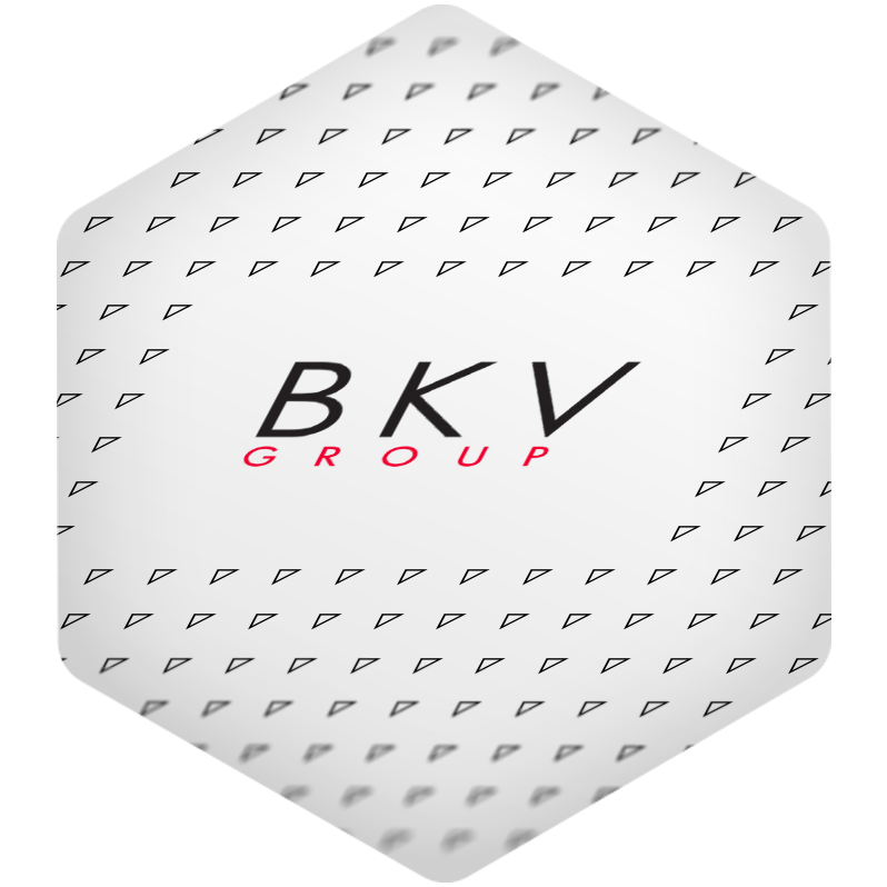 Кейс - разработка стратегии продвижения BKV Group