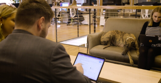 Rocket55 team members work together in a casual environment alongside an office dog