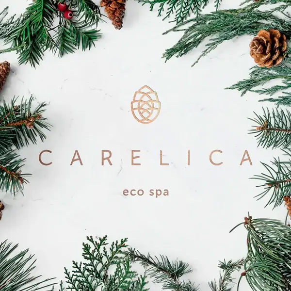 Контекстная реклама и оптимизация контекстной рекламы для премиум спа-центра Carelica Spa