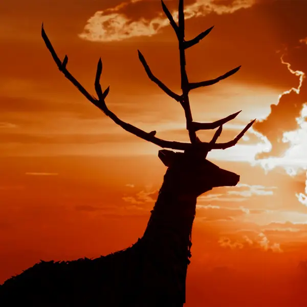 Продвижение юбилейного портала Нижнего Новгорода через SEO и контекстную рекламу